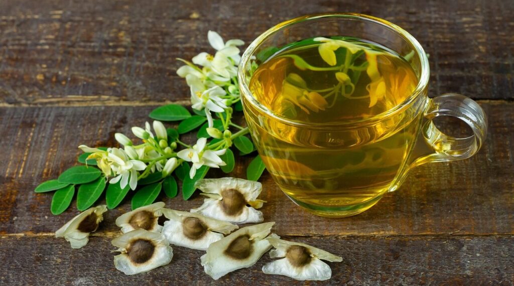 herbal tea, tea, moringa tea, hot drink, moringa oleifera, refreshment, herbal tea, moringa tea, moringa tea, moringa tea, moringa tea, moringa tea, moringa oleifera